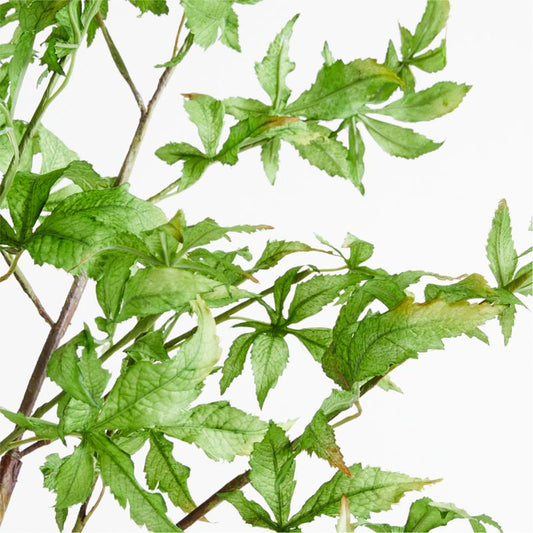 Potted Faux Green Maple Tree 7.5'