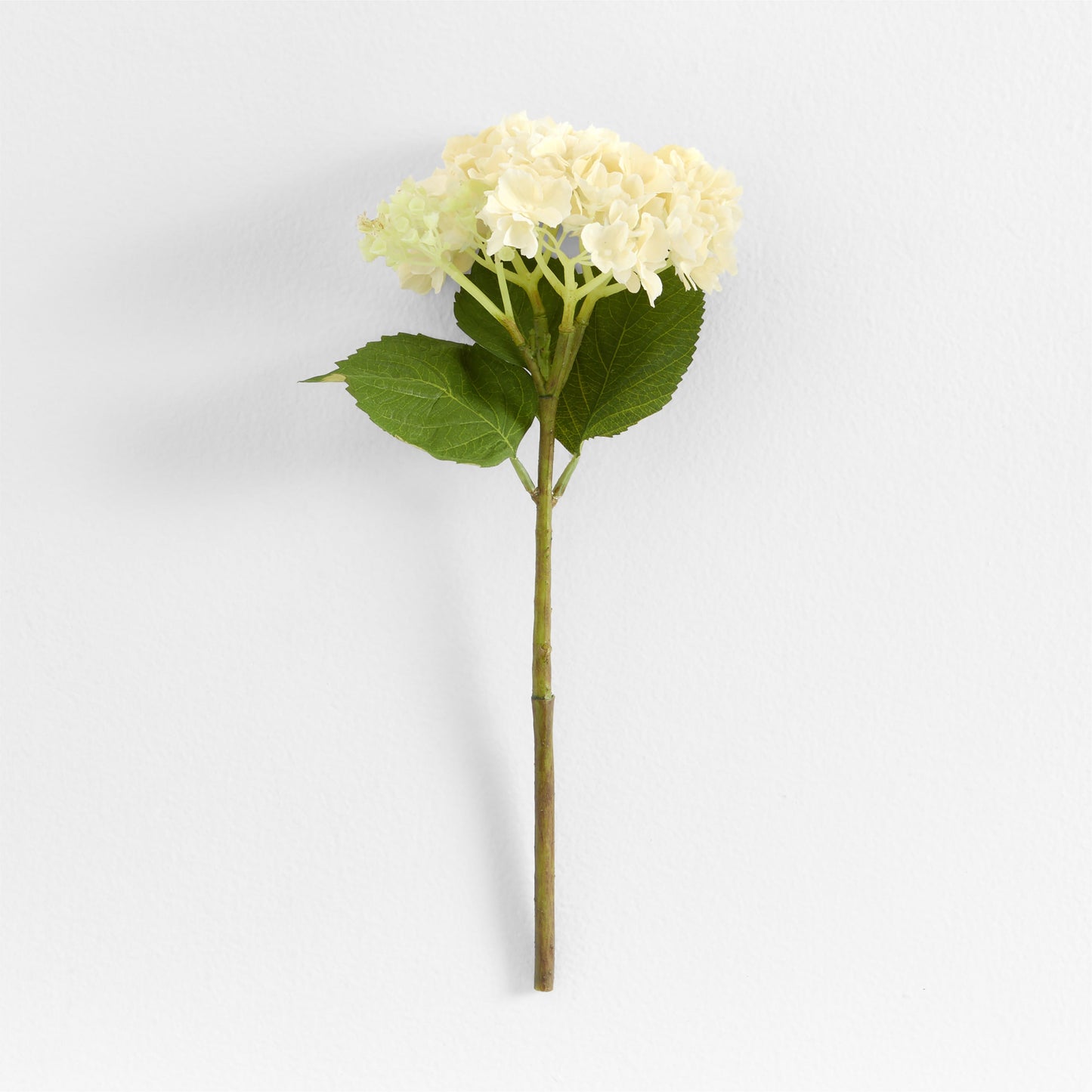 Faux Cream Hydrangea Stem 14' by Abigail Ahern