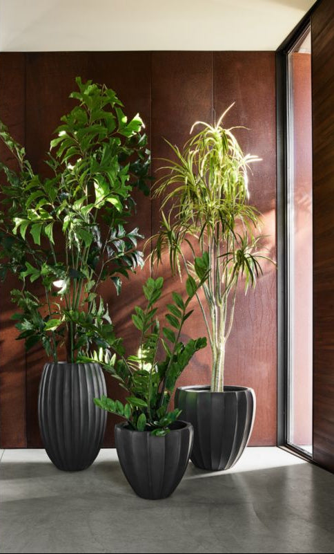 Warren Medium Black Ficonstone Outdoor Planter 20.1'