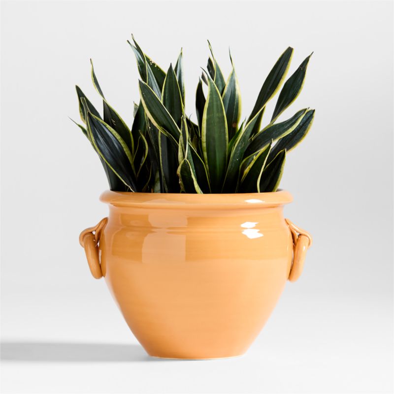 Genoa Large Tuscan Yellow Italian Ceramic Indoor/Outdoor Planter 16'x17'