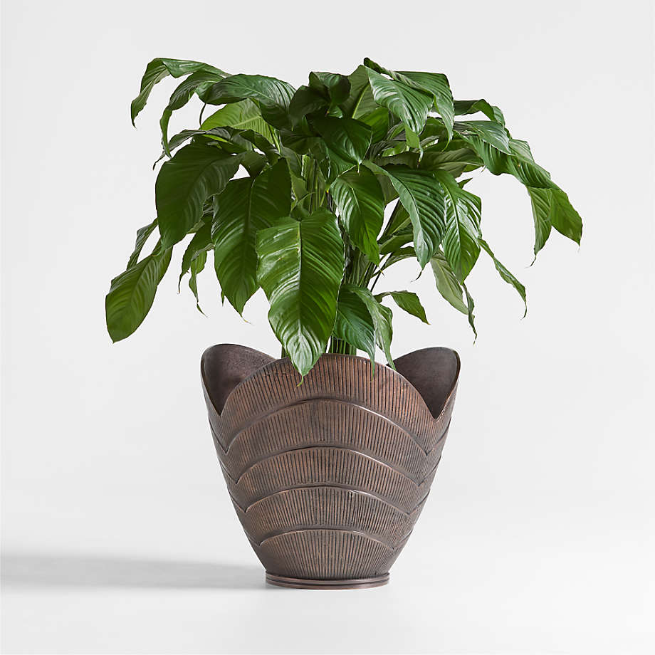 Hackney Medium Bronze Metal Indoor/Outdoor Planter 16'x15' by Jake Arnold