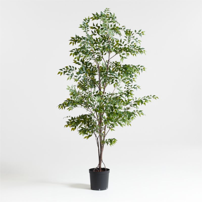 Faux Ficus Tree 8'